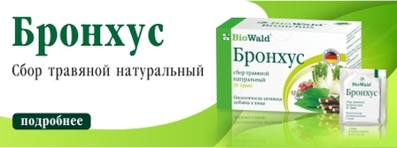 Бронхус